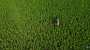 The Natural Farming Roundtable - Mapping Pathways And Adoption Mumbai